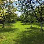 у оксани
