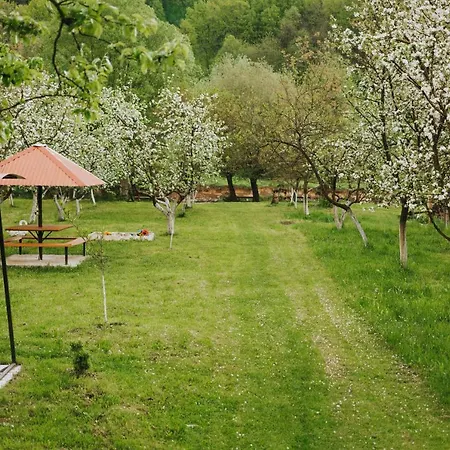 у оксани Guest house *