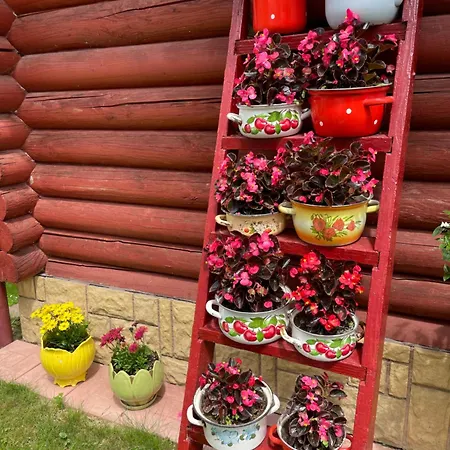 у оксани Solochin