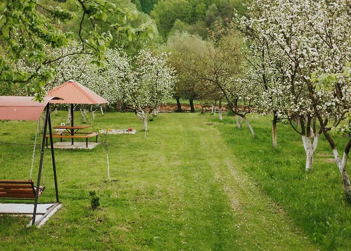 у оксани Penzion *