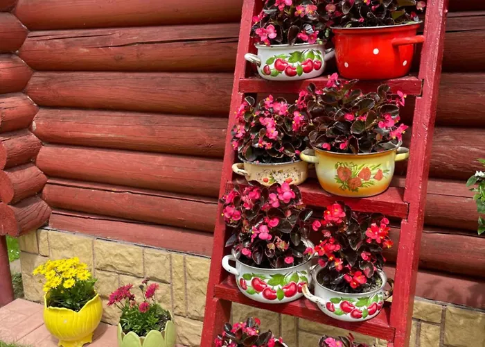 у оксани Soločin