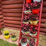 у оксани Солочин