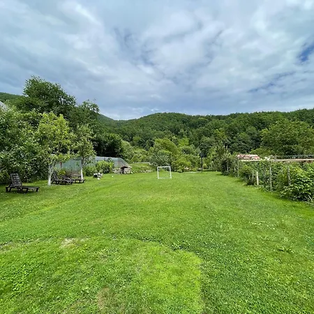 у оксани Konukevi